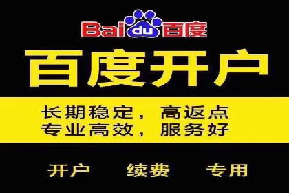 如何在竞争激烈的市场中通过SEM广告投放获得优势？——以某企业为例
