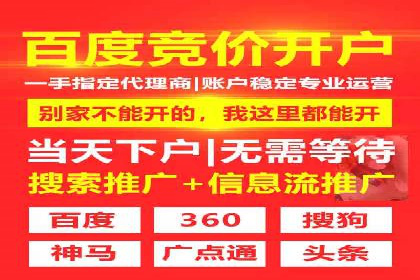 百度推广实战攻略：案例与策略